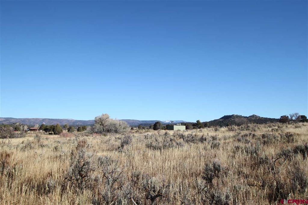 Tbd County Road 510 Durango CO 81303