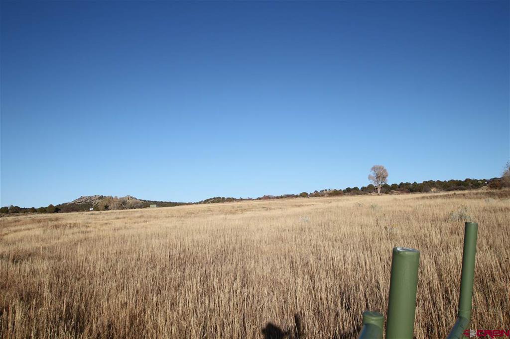 Tbd County Road 510 Durango CO 81303