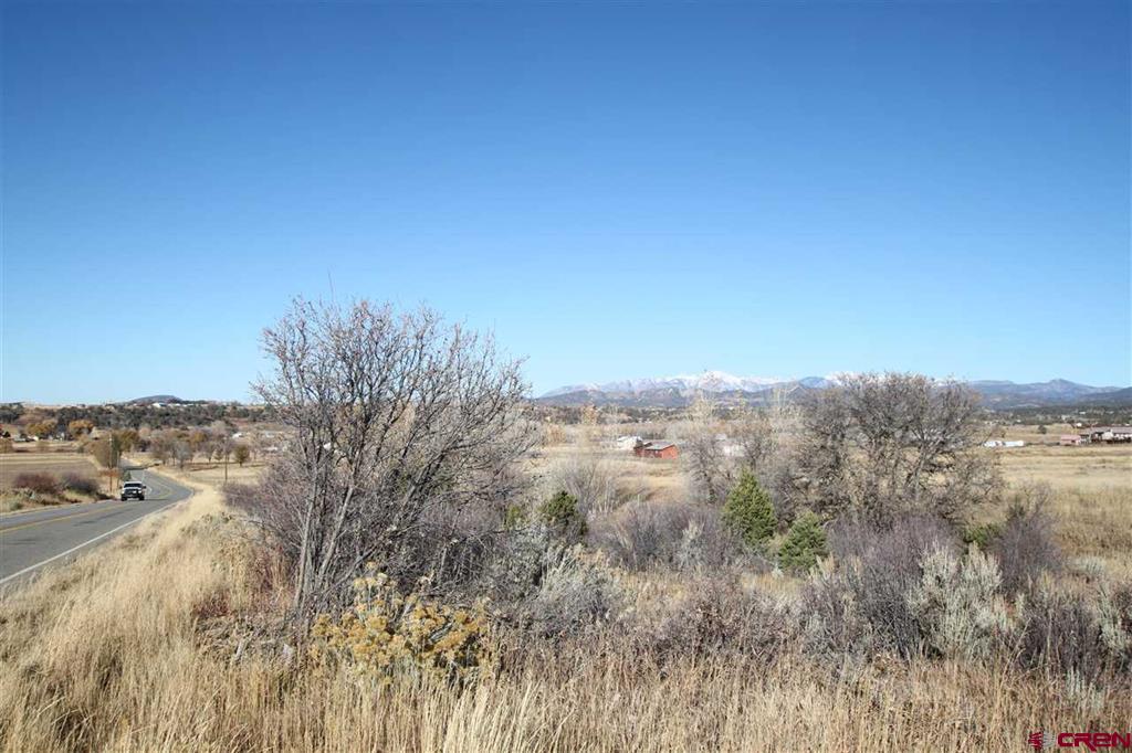 Tbd County Road 510 Durango CO 81303