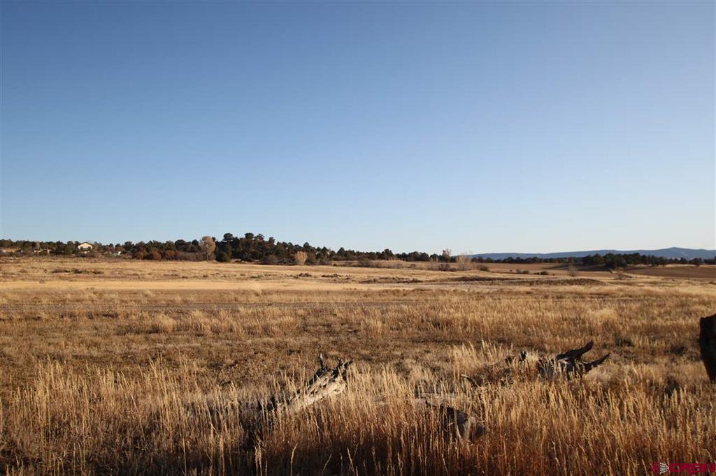 Tbd County Road 510 Durango CO 81303