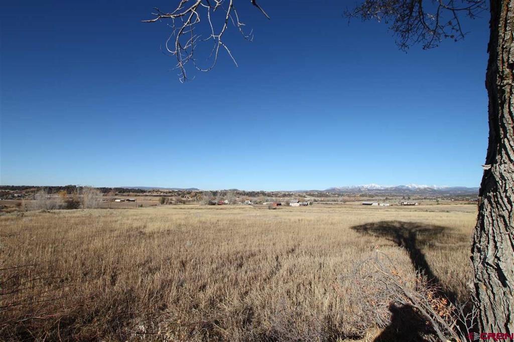 Tbd County Road 510 Durango CO 81303