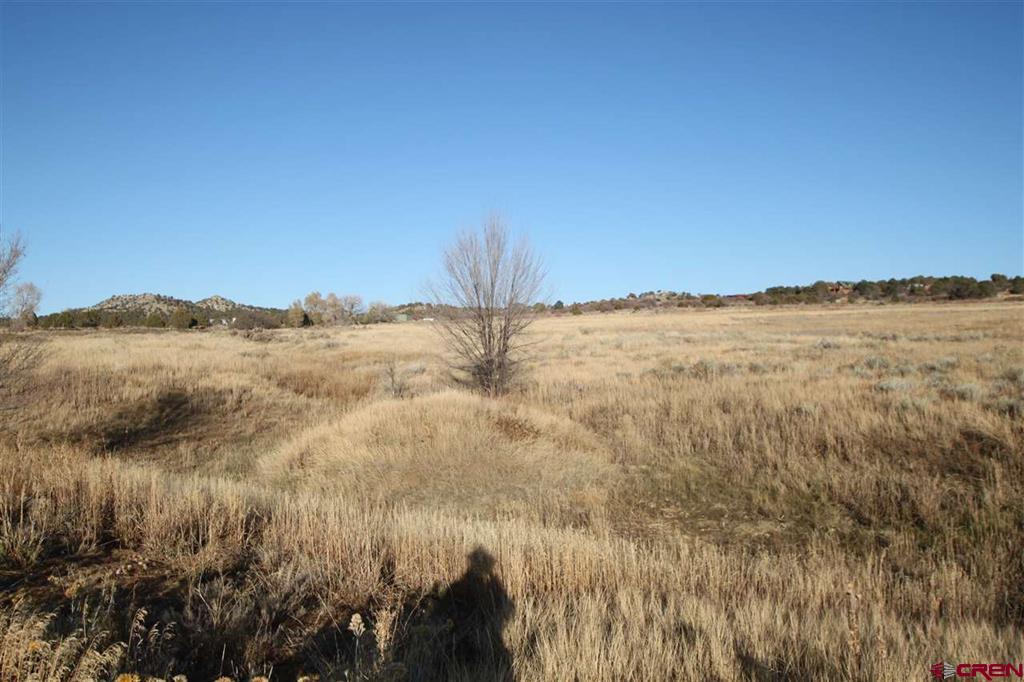 Tbd County Road 510 Durango CO 81303