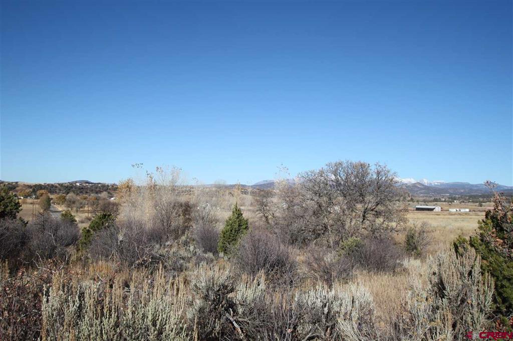 Tbd County Road 510 Durango CO 81303