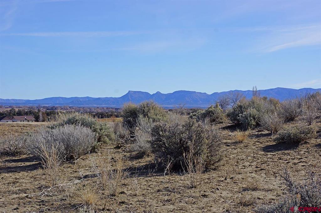 Tbd Road U.1 Cortez CO 81321
