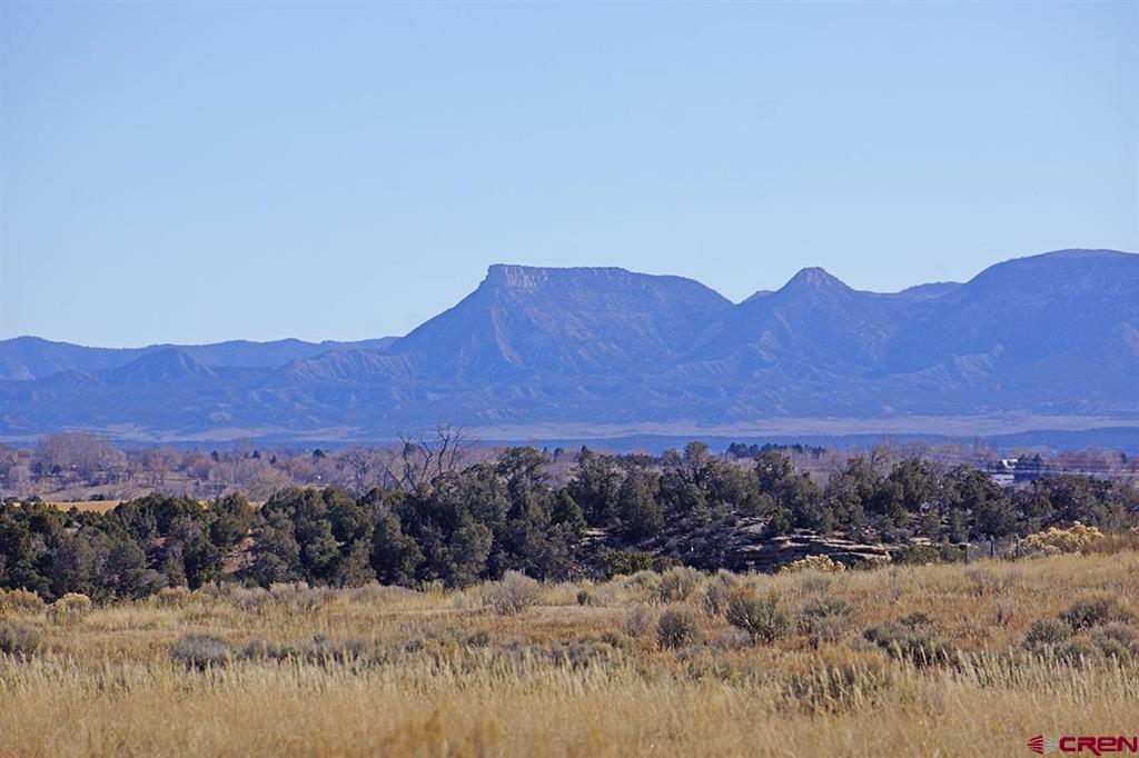 Tbd Road U.1 Cortez CO 81321