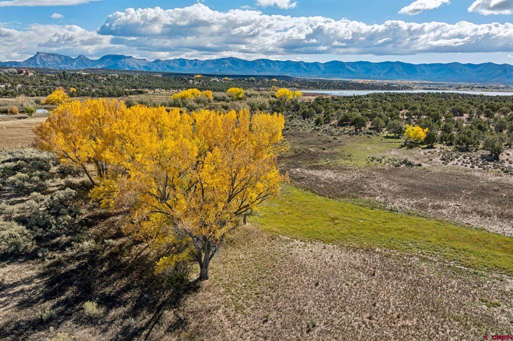 Tbd Road 29 Cortez CO 81321