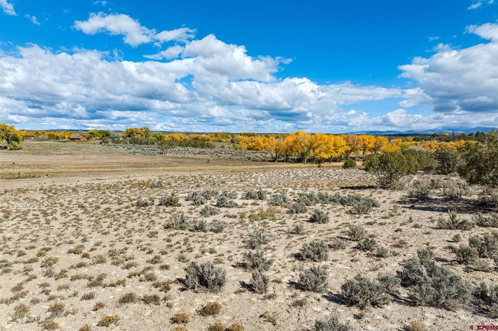 Tbd Road 29 Cortez CO 81321