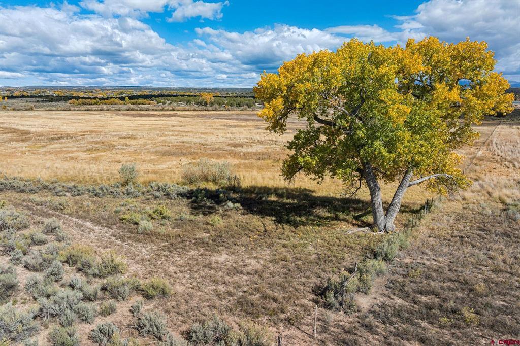 Tbd Road 29 Cortez CO 81321