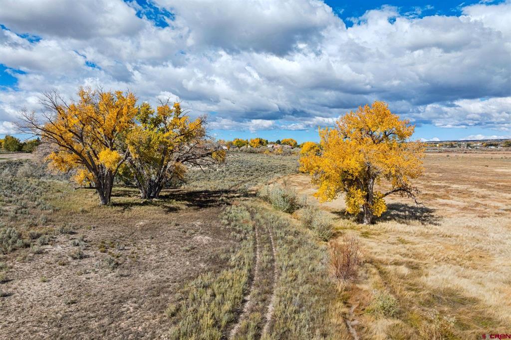 Tbd Road 29 Cortez CO 81321