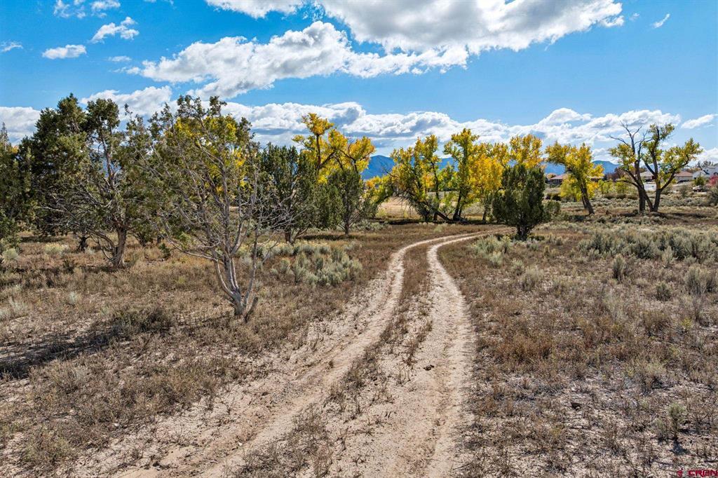 Tbd Road 29 Cortez CO 81321