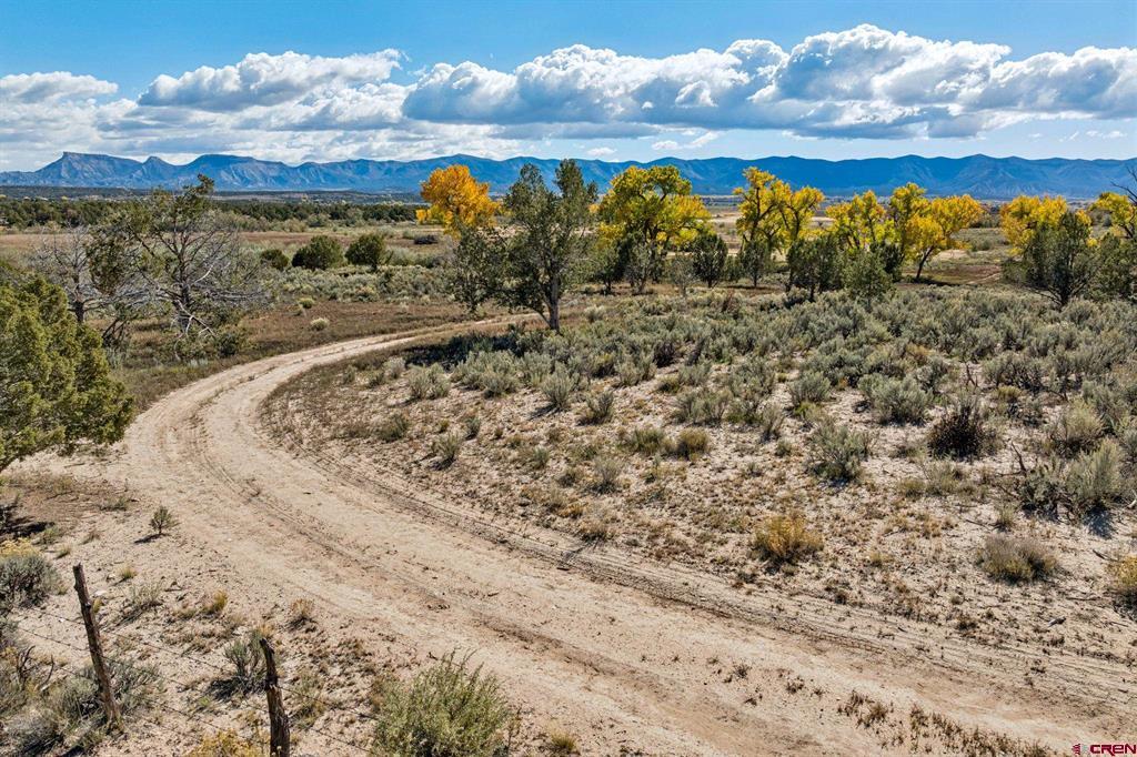 Tbd Road 29 Cortez CO 81321