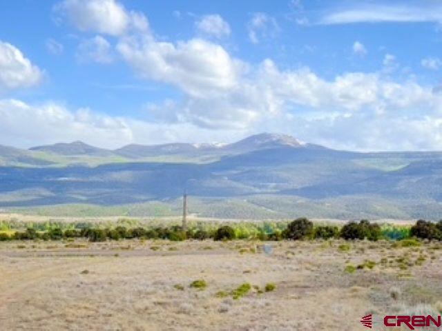 553 Pfeiffer Loop South Fork CO 81154