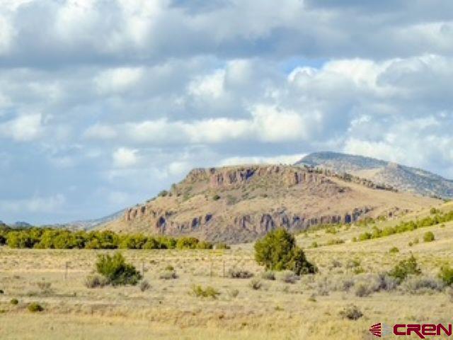 553 Pfeiffer Loop South Fork CO 81154