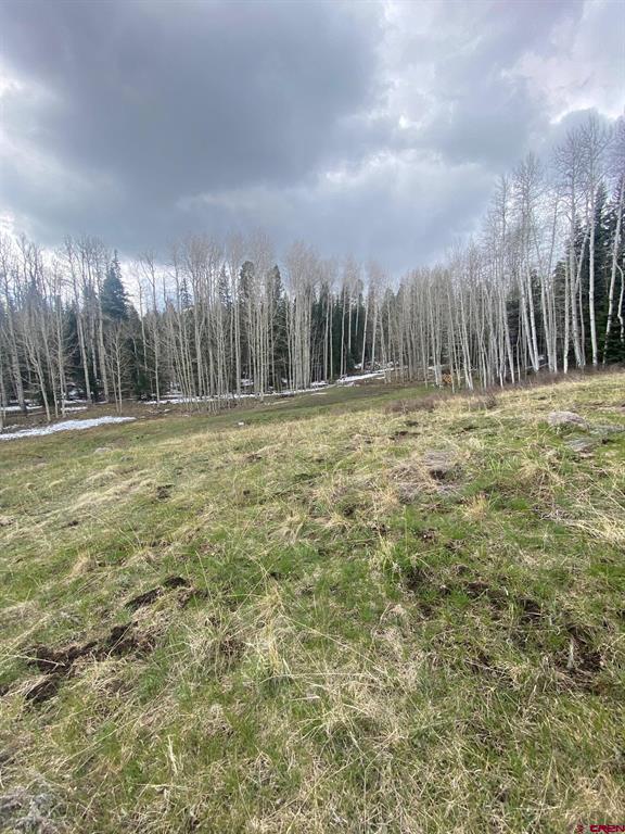 255 Wapiti Place Creede CO 81130