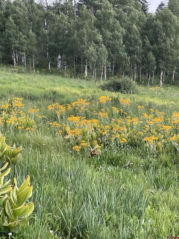 255 Wapiti Place Creede CO 81130