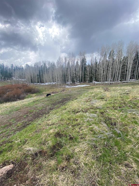 255 Wapiti Place Creede CO 81130