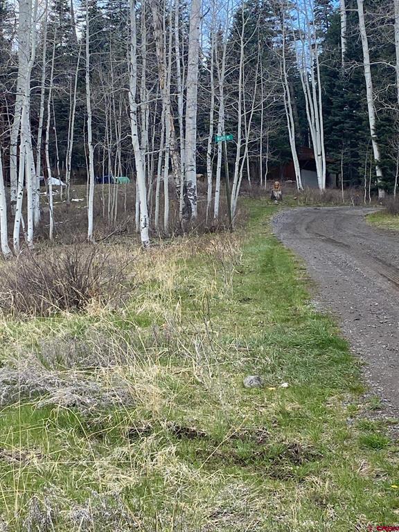 255 Wapiti Place Creede CO 81130