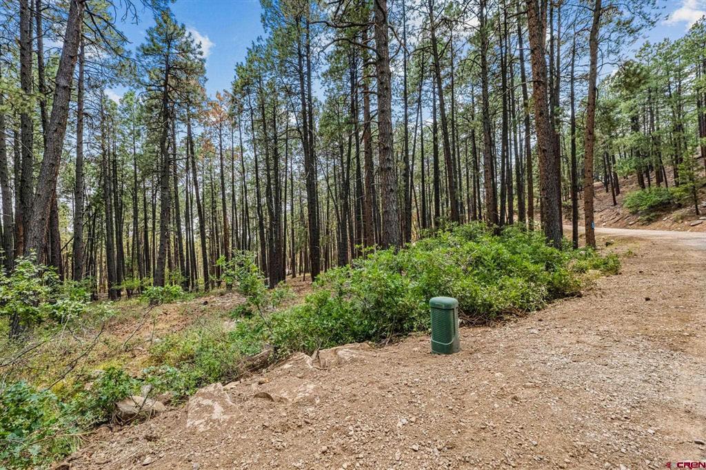432 Blue Ridge Drive Bayfield CO 81122