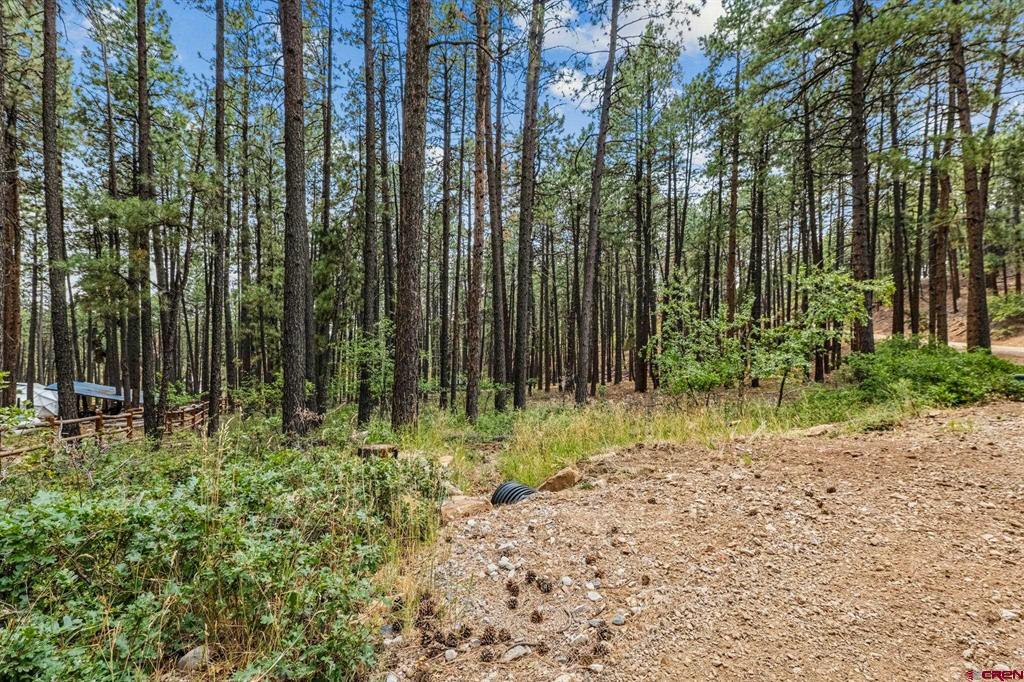 432 Blue Ridge Drive Bayfield CO 81122