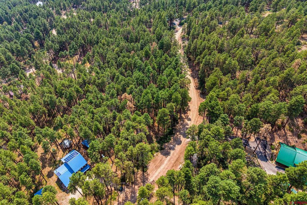 432 Blue Ridge Drive Bayfield CO 81122