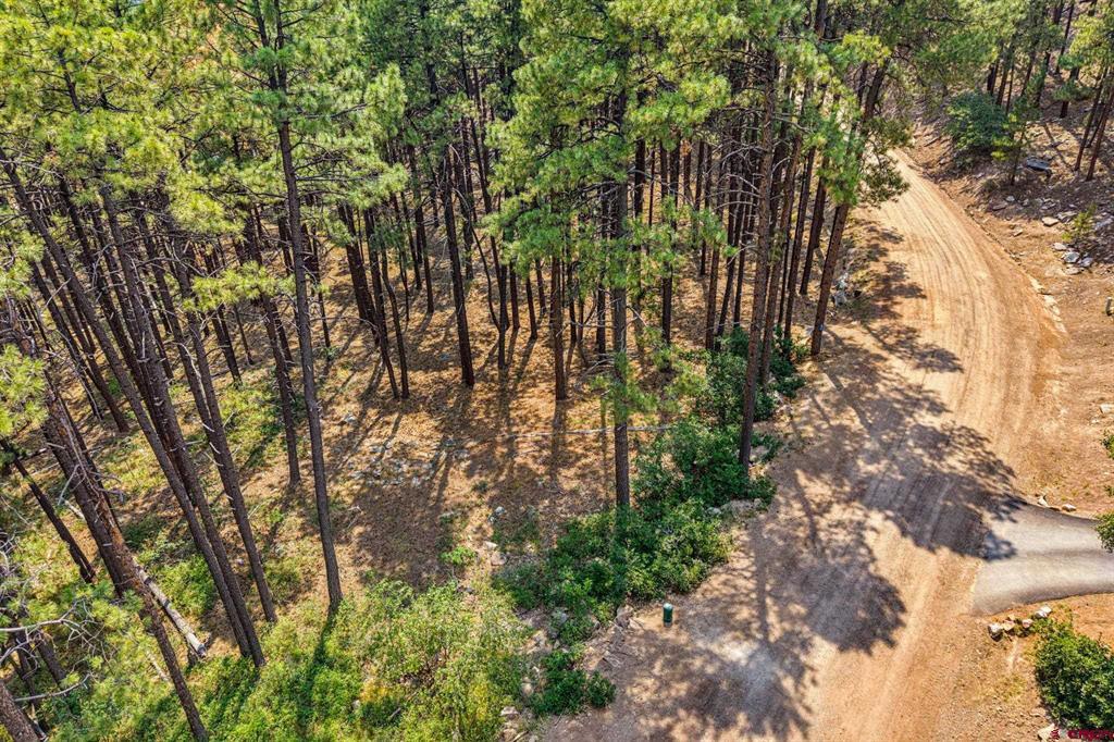 432 Blue Ridge Drive Bayfield CO 81122