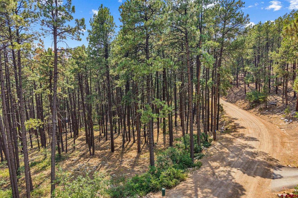432 Blue Ridge Drive Bayfield CO 81122