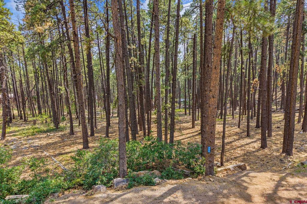 432 Blue Ridge Drive Bayfield CO 81122
