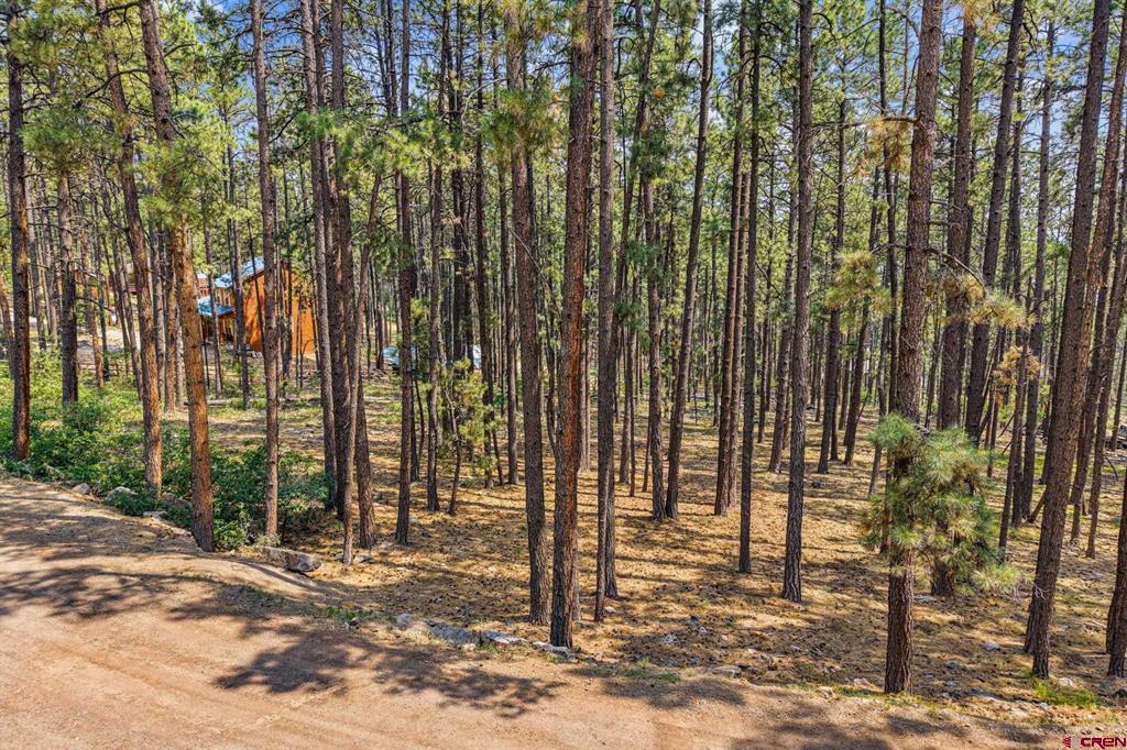 432 Blue Ridge Drive Bayfield CO 81122