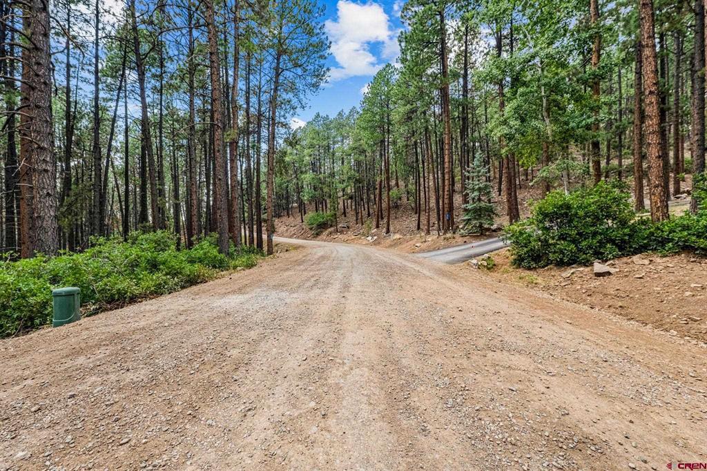 432 Blue Ridge Drive Bayfield CO 81122