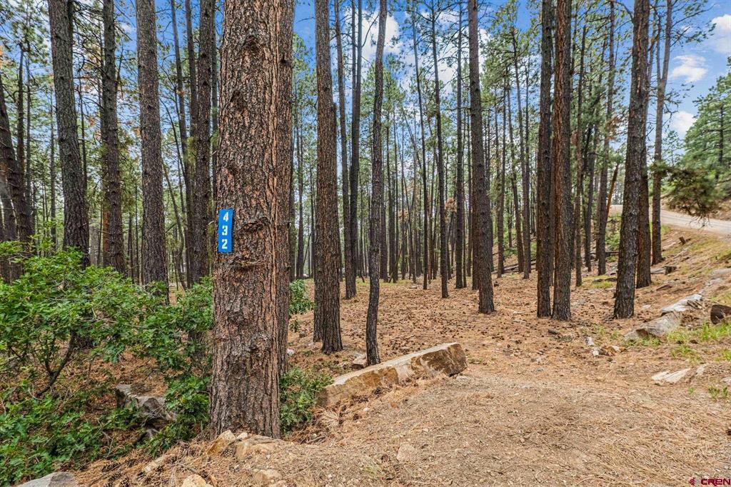 432 Blue Ridge Drive Bayfield CO 81122
