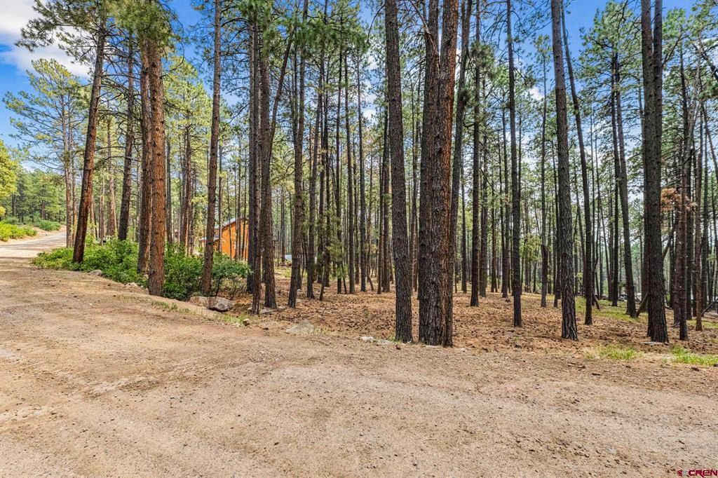 432 Blue Ridge Drive Bayfield CO 81122