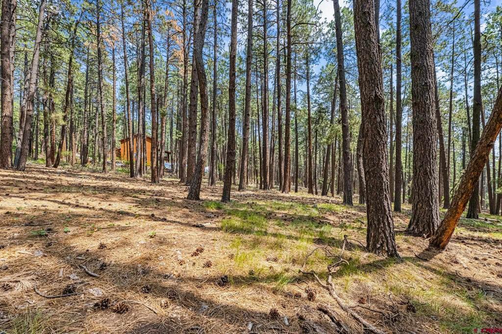 432 Blue Ridge Drive Bayfield CO 81122