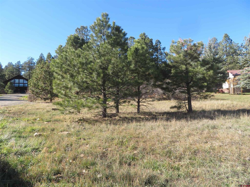 905 Hills Circle Pagosa Springs CO 81147
