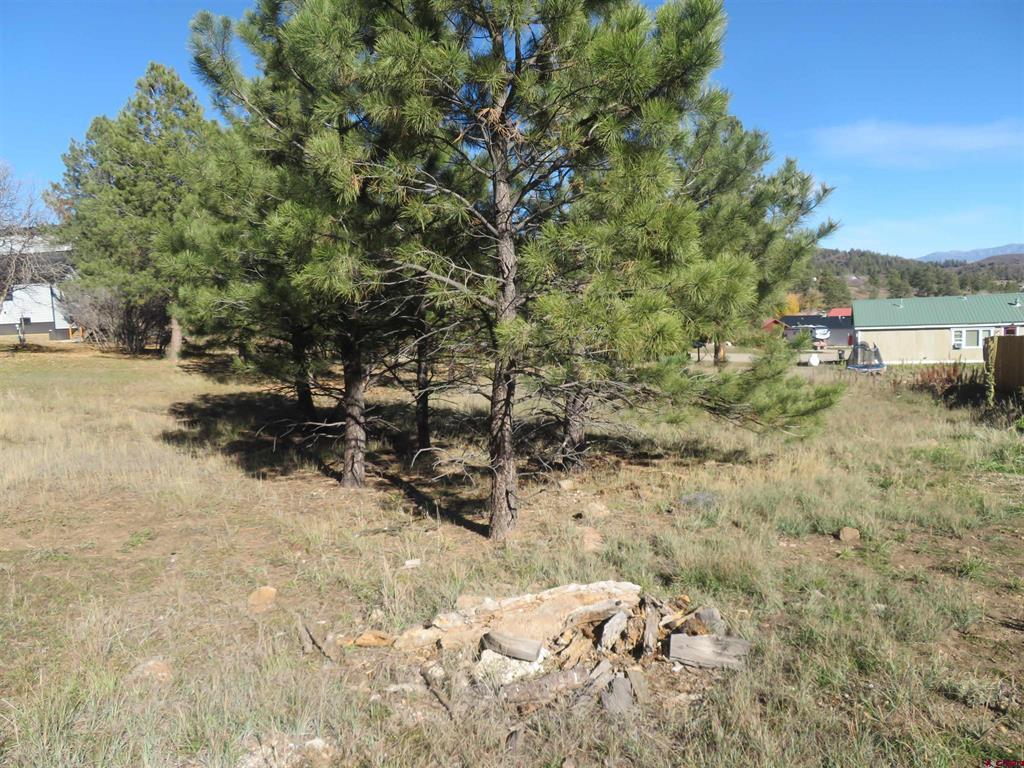 905 Hills Circle Pagosa Springs CO 81147
