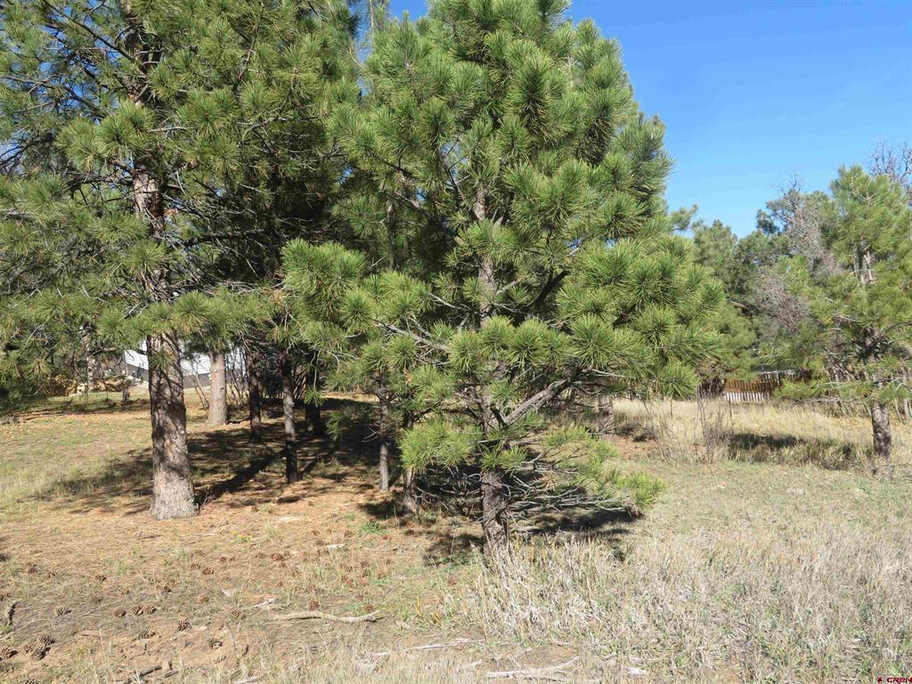 905 Hills Circle Pagosa Springs CO 81147
