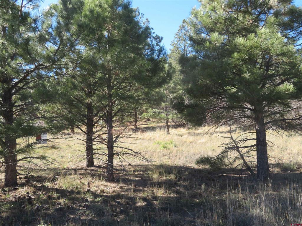 905 Hills Circle Pagosa Springs CO 81147