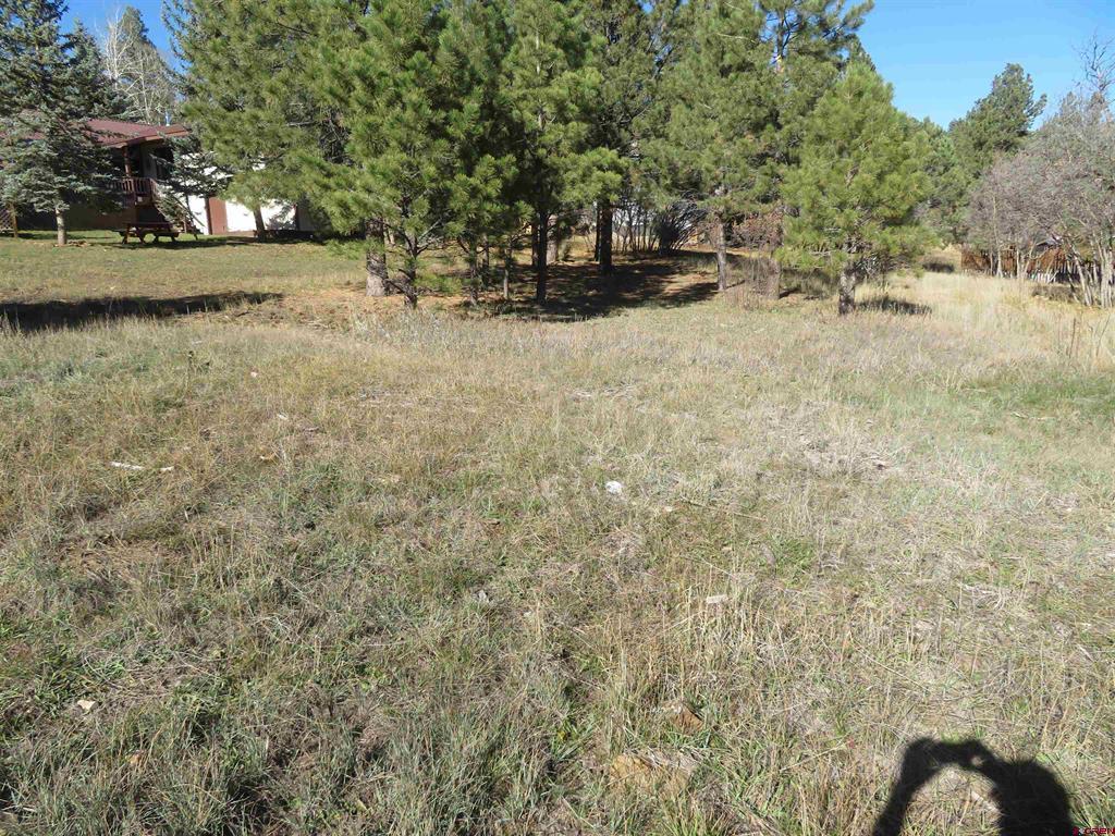 905 Hills Circle Pagosa Springs CO 81147