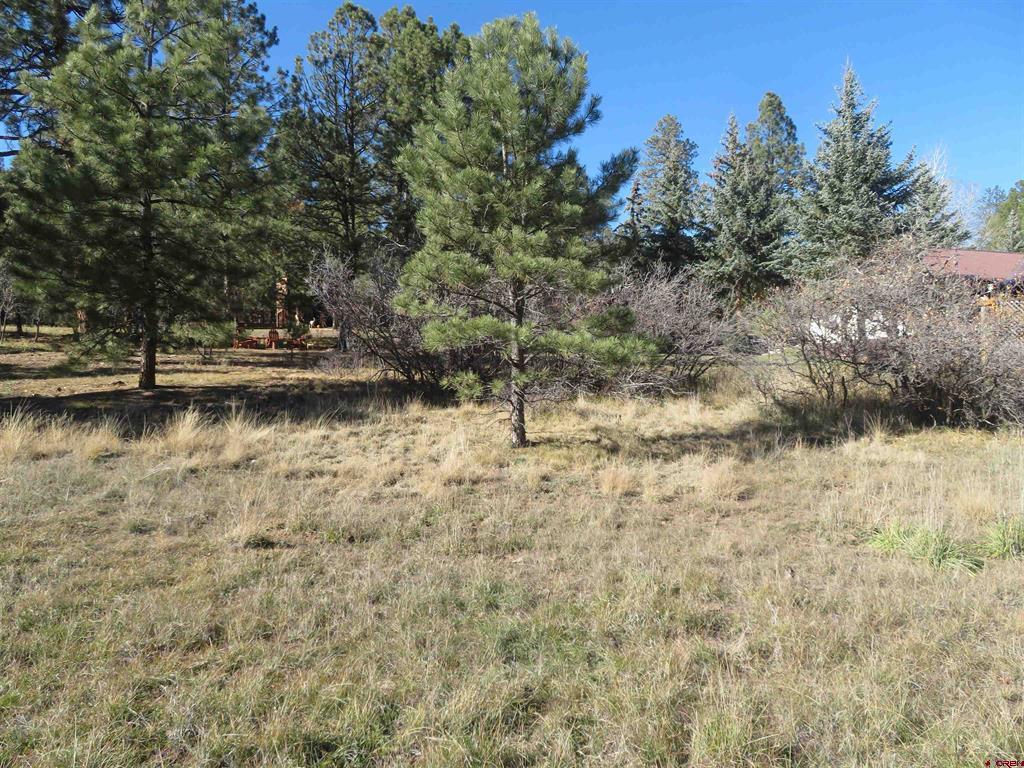 905 Hills Circle Pagosa Springs CO 81147