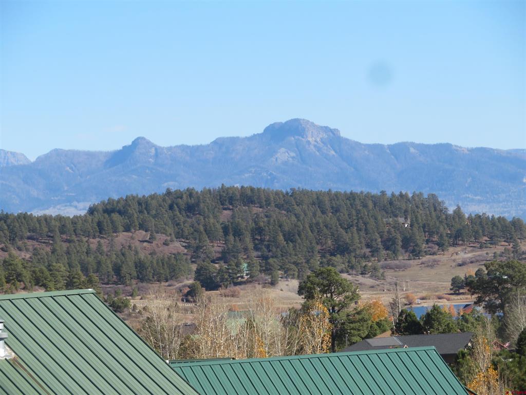 905 Hills Circle Pagosa Springs CO 81147