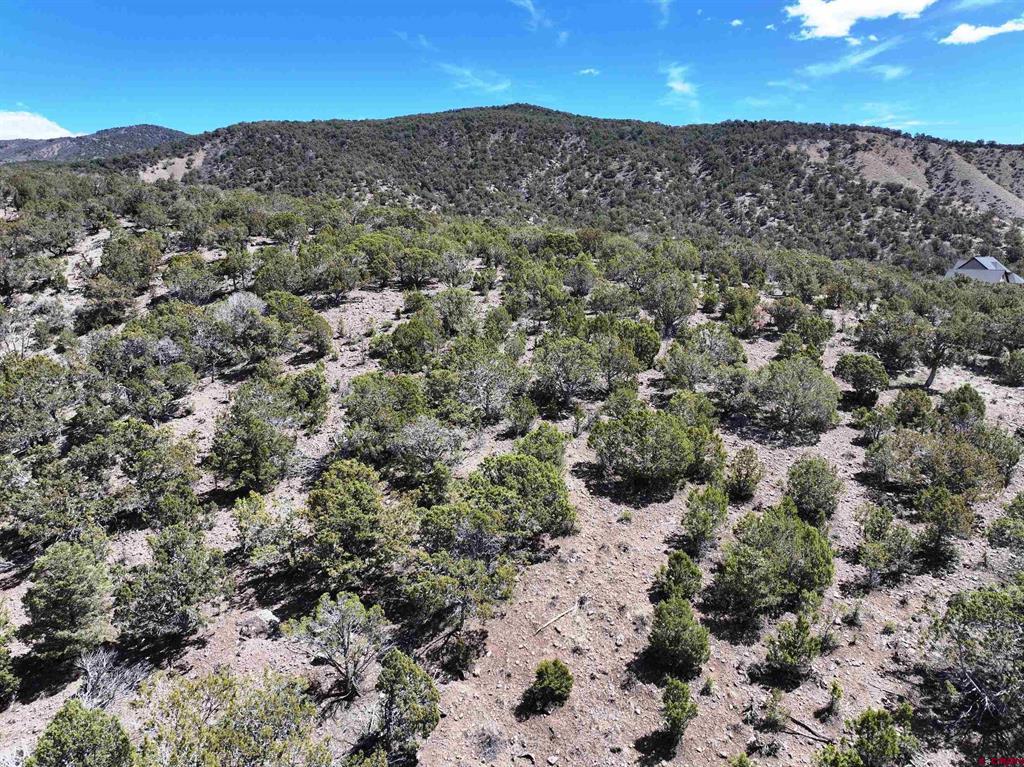 Tbd (Lot 10) 7250 Road Montrose CO 81403