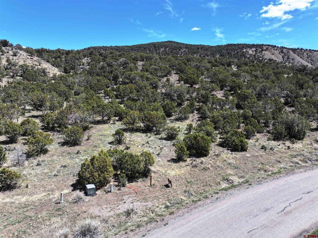 Tbd (Lot 10) 7250 Road Montrose CO 81403