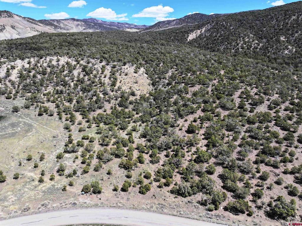 Tbd (Lot 10) 7250 Road Montrose CO 81403