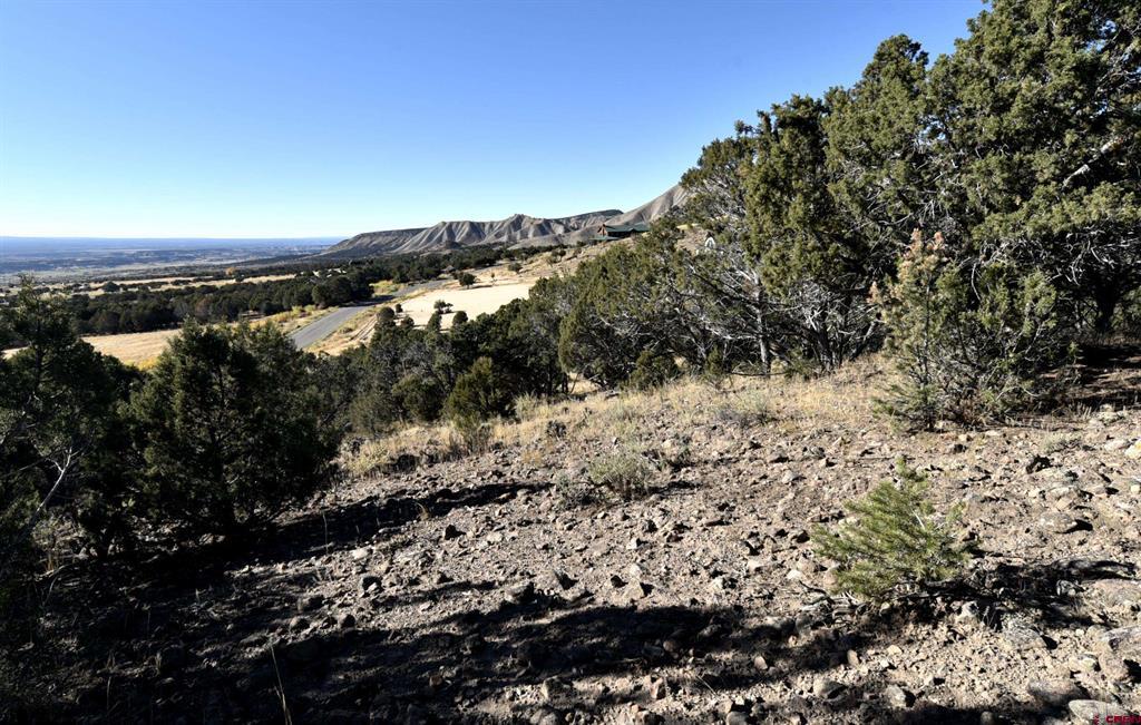 Tbd (Lot 10) 7250 Road Montrose CO 81403