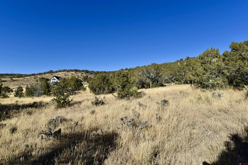 Tbd (Lot 10) 7250 Road Montrose CO 81403