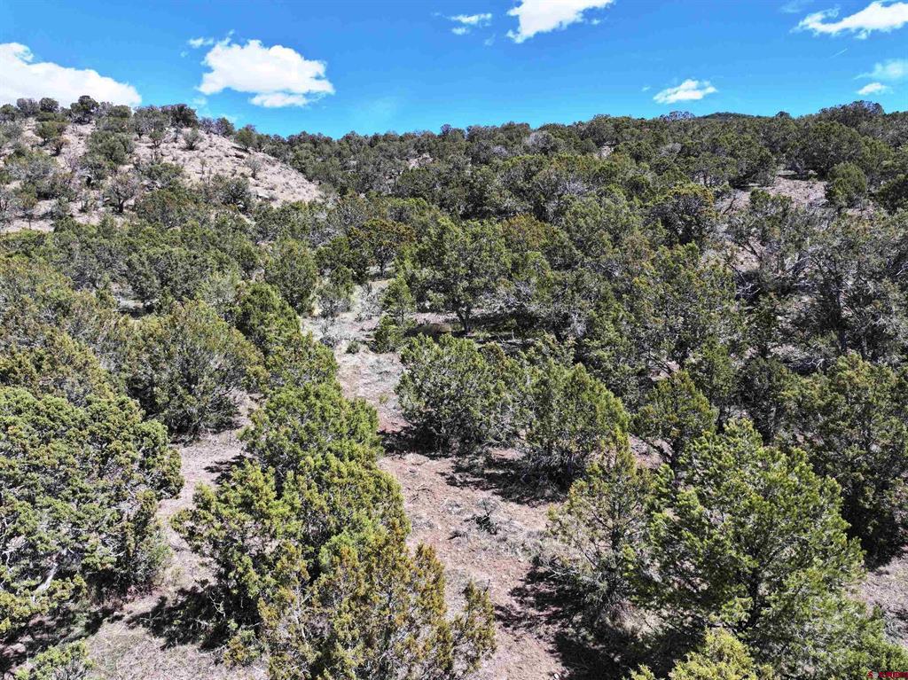 Tbd (Lot 10) 7250 Road Montrose CO 81403