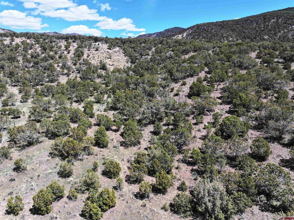 Tbd (Lot 10) 7250 Road Montrose CO 81403