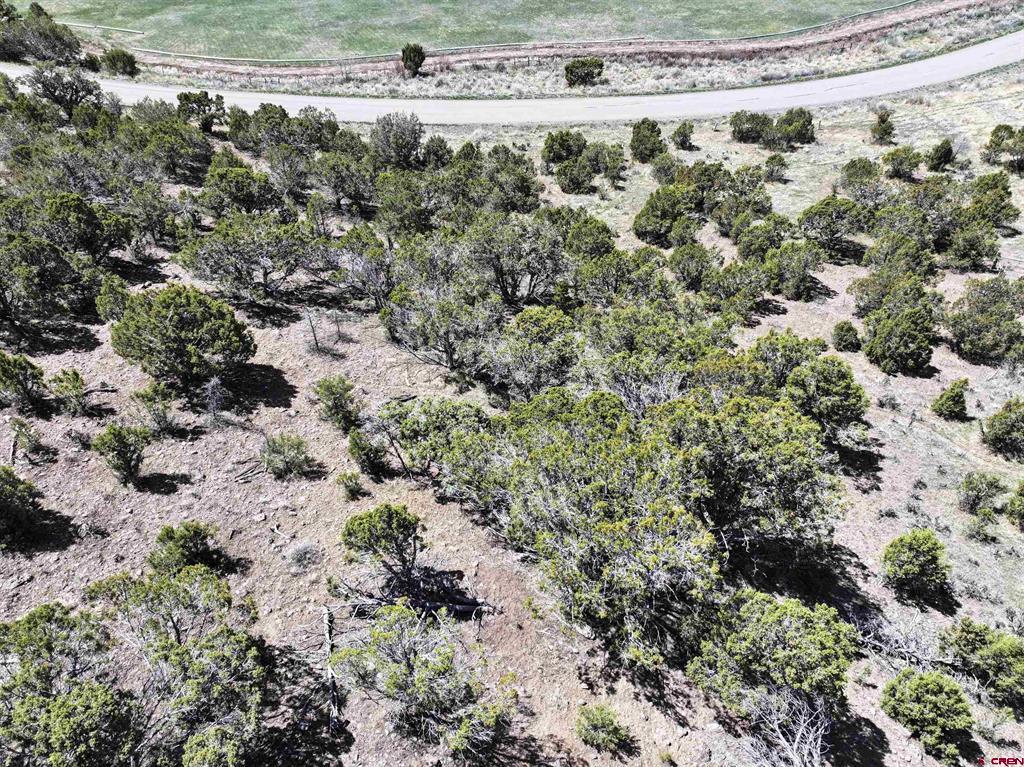 Tbd (Lot 10) 7250 Road Montrose CO 81403