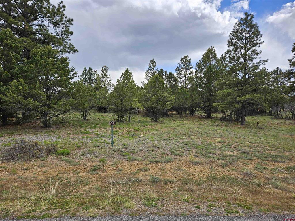 Tbd Marmot Drive Ridgway CO 81432