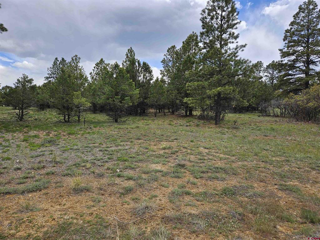 Tbd Marmot Drive Ridgway CO 81432