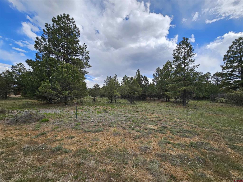 Tbd Marmot Drive Ridgway CO 81432